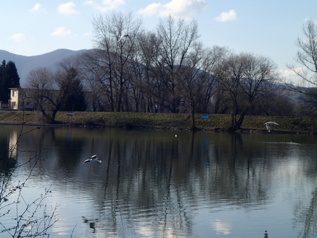 Čajky - Trenčín